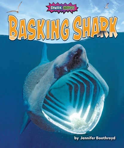 Basking Shark, Jennifer Boothroyd - Paperback - 9781636915371