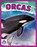 Orcas, Angela Lim - Paperback - 9781637380444