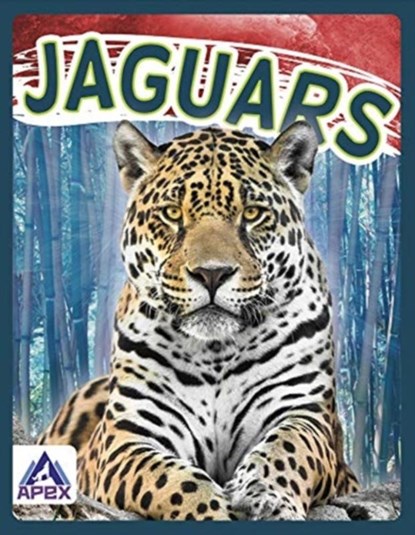Jaguars, Sophie Geister-Jones - Paperback - 9781637380666
