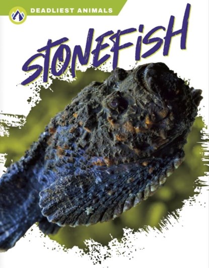 Stonefish, Golriz Golkar - Gebonden - 9781637382875