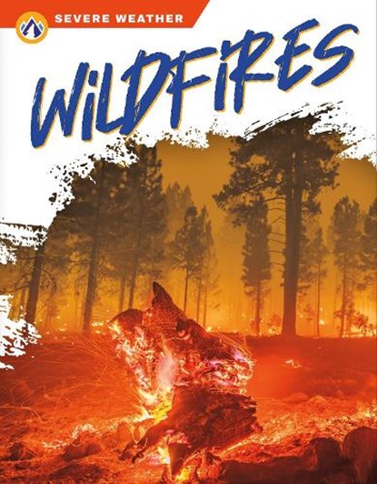 Wildfires, Candice Ransom - Gebonden - 9781637383063