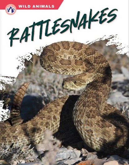 Rattlesnakes, Libby Wilson - Gebonden - 9781637384435