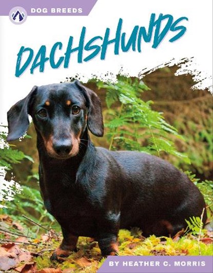 Dachshunds, Heather C. Morris - Gebonden - 9781637389065