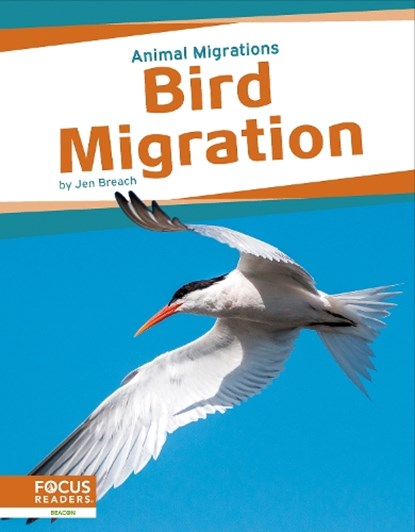 Bird Migration, Jen Breach - Paperback - 9781637396629
