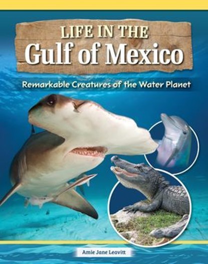 Amazing Creatures of the Gulf of Mexico, Amie Jane Leavitt - Ebook - 9781637415795