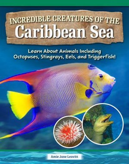 Incredible Creatures of the Caribbean Sea, Amie Jane Leavitt - Ebook - 9781637415849