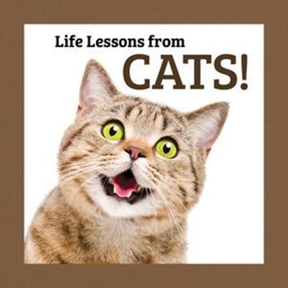 Life Lessons from Cats!, Grace Peterson - Ebook - 9781637416235