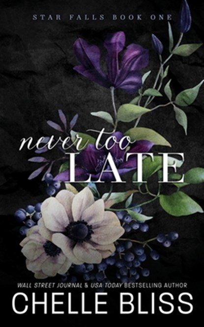 Never Too Late: Discreet Edition, Chelle Bliss - Paperback - 9781637431122