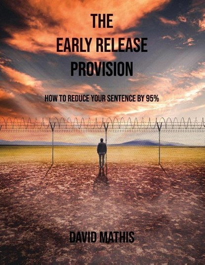 The Early Release Provision, David L Mathis - Paperback - 9781637510988