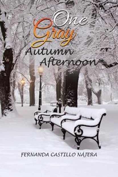 One Gray Autumn Afternoon, CASTILLO NAJERA,  Fernanda - Paperback - 9781637676264