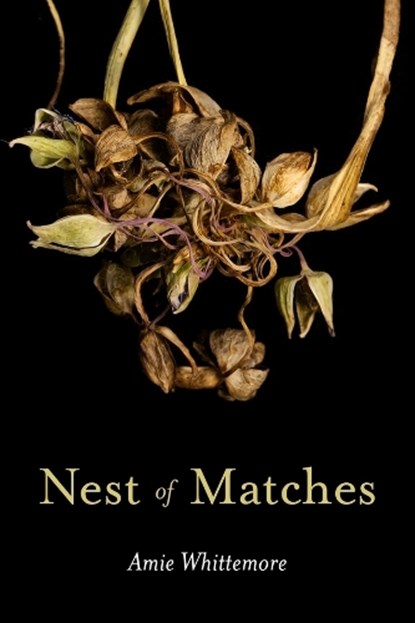 Nest of Matches, Amie Whittemore - Paperback - 9781637680896