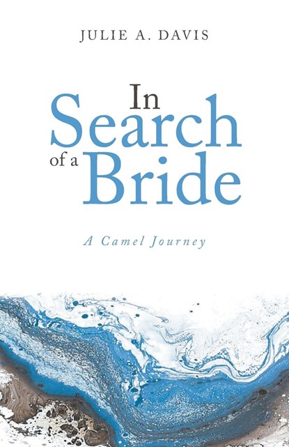 In Search of a Bride, Julie A Davis - Paperback - 9781637691625