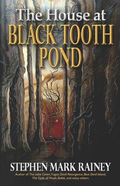 The House at Black Tooth Pond, Stephen Mark Rainey - Paperback - 9781637891773
