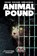 Animal Pound, Tom King - Gebonden - 9781637969779
