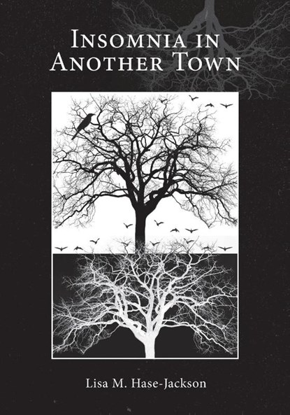 Insomnia in Another Town, Lisa M. Hase-Jackson - Paperback - 9781638041078