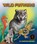 Wild Fathers, Shennen Bersani - Paperback - 9781638173274