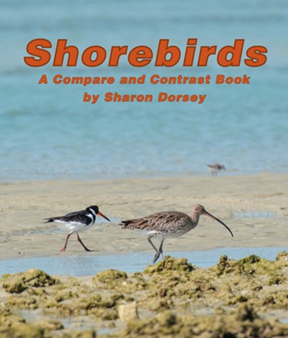Shorebirds: A Compare and Contrast Book, Sharon Dorsey - Paperback - 9781638173663