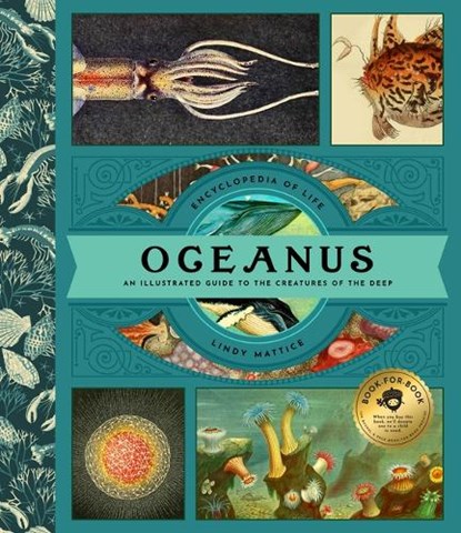 Oceanus, Lindy Mattice - Gebonden - 9781638191223