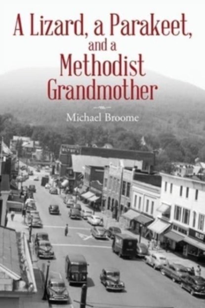 A Lizard, a Parakeet, and a Methodist Grandmother, Broome Michael Broome - Paperback - 9781638376538
