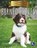 Bernedoodles, Christina Earley - Paperback - 9781638971993