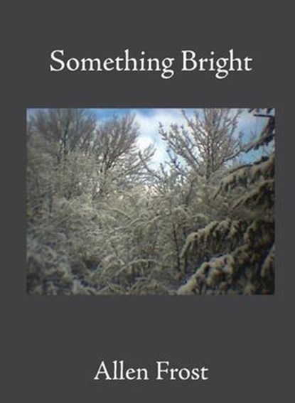 Something Bright, Allen Frost - Paperback - 9781639017133