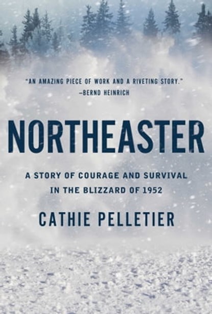 Northeaster, Cathie Pelletier - Ebook - 9781639363421