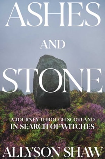 Ashes and Stones, Allyson Shaw - Ebook - 9781639365302