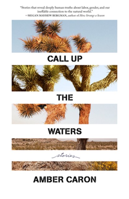 Call Up the Waters, Amber Caron - Paperback - 9781639550449