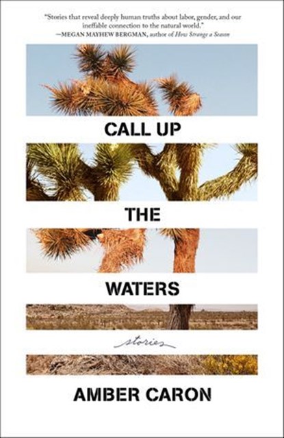 Call Up the Waters, Amber Caron - Ebook - 9781639550456