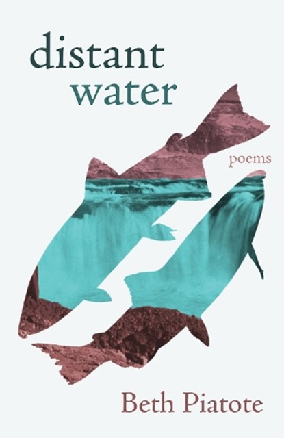 distant water, Beth Piatote - Paperback - 9781639551682