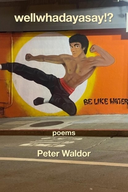 Wellwhadayasay!?, Peter Waldor - Paperback - 9781639804368