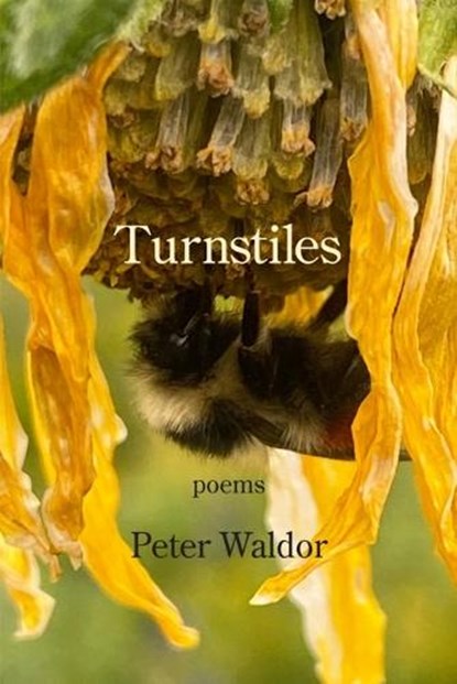 Turnstiles, Peter Waldor - Paperback - 9781639804375