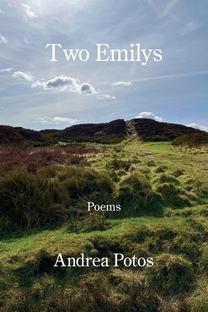Two Emilys, Andrea Potos - Paperback - 9781639806874