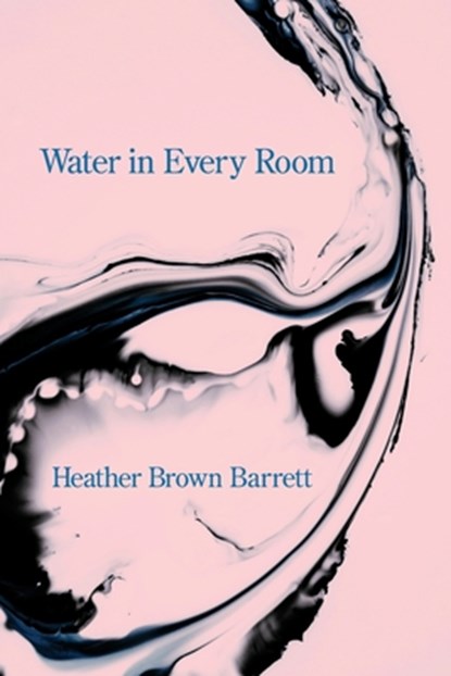 Water in Every Room, Heather Brown Barrett - Paperback - 9781639807079