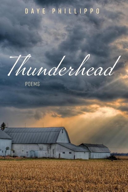 Thunderhead, Daye Phillippo - Paperback - 9781639820696