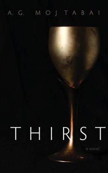 Thirst, A. G. Mojtabai - Paperback - 9781639820870