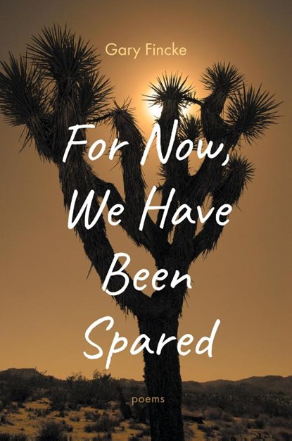 For Now, We Have Been Spared, Gary Fincke - Paperback - 9781639821938