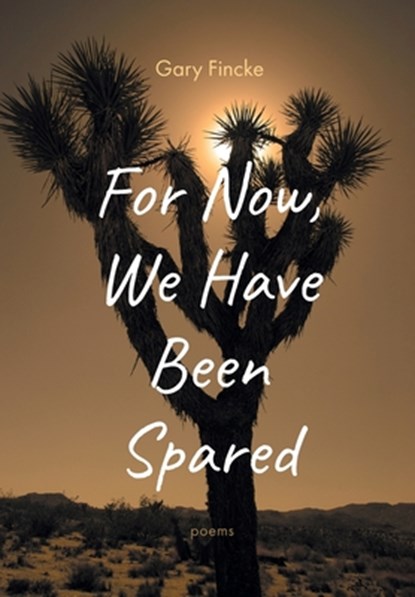 For Now, We Have Been Spared, Gary Fincke - Gebonden - 9781639821945