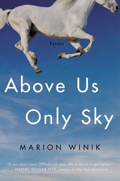 Above Us Only Sky, Marion Winik - Ebook - 9781640093096