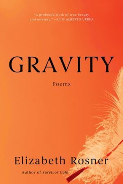 Gravity, Elizabeth Rosner - Ebook - 9781640097872
