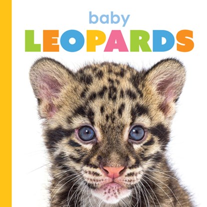 Baby Leopards, Meg Greve - Gebonden - 9781640264205