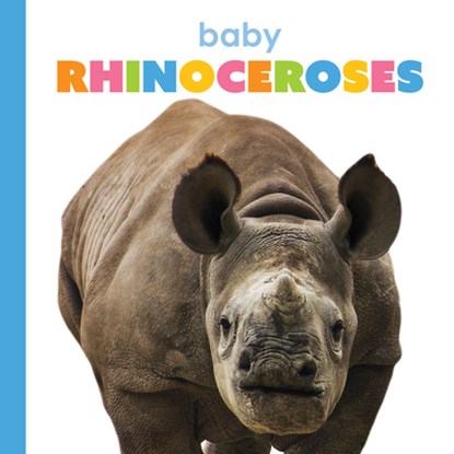 Baby Rhinoceroses, Meg Greve - Gebonden - 9781640264236