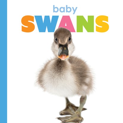 Baby Swans, Meg Greve - Gebonden - 9781640264250