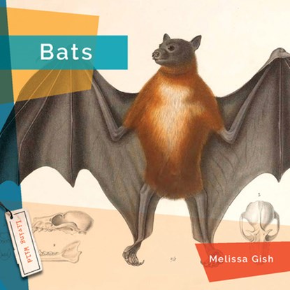 Bats, Melissa Gish - Gebonden - 9781640265950