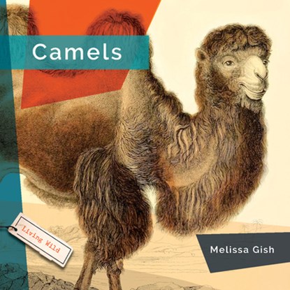 Camels, Melissa Gish - Gebonden - 9781640265967