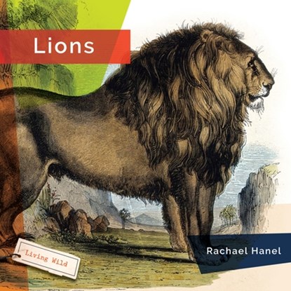 Lions, Rachael Hanel - Gebonden - 9781640266049