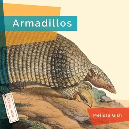 Armadillos, Melissa Gish - Gebonden - 9781640267718