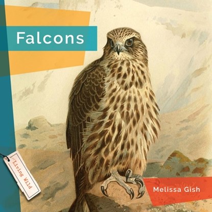 Falcons, Melissa Gish - Gebonden - 9781640267800