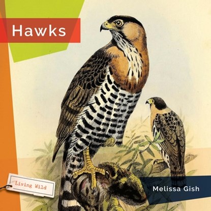 Hawks, Melissa Gish - Gebonden - 9781640267855