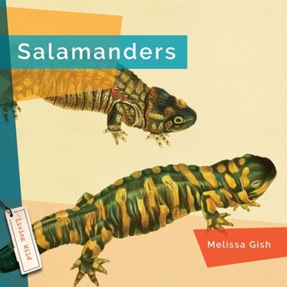 Salamanders, Melissa Gish - Gebonden - 9781640268036